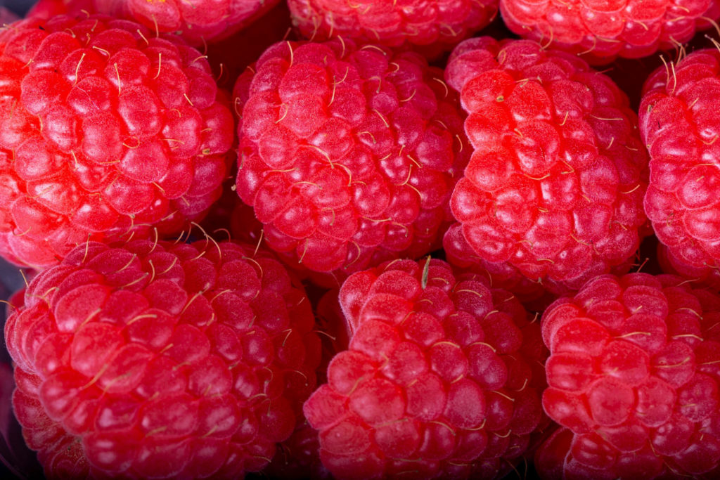 Fresh Results Raspberries