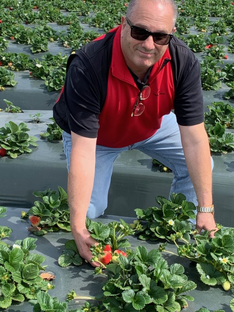 Strawberry Fields with Doug